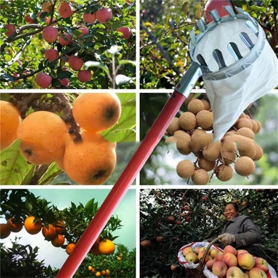 Farming Agriculture Tools - Wielofunkcyjny teleskopowy, ocynkowany żelazny zbieracz owoców