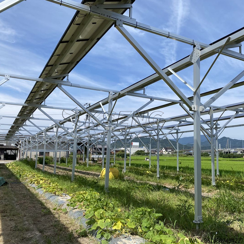 Agriculture Farming In Japan - Japońskie nowe aluminiowe wsporniki solarnie do