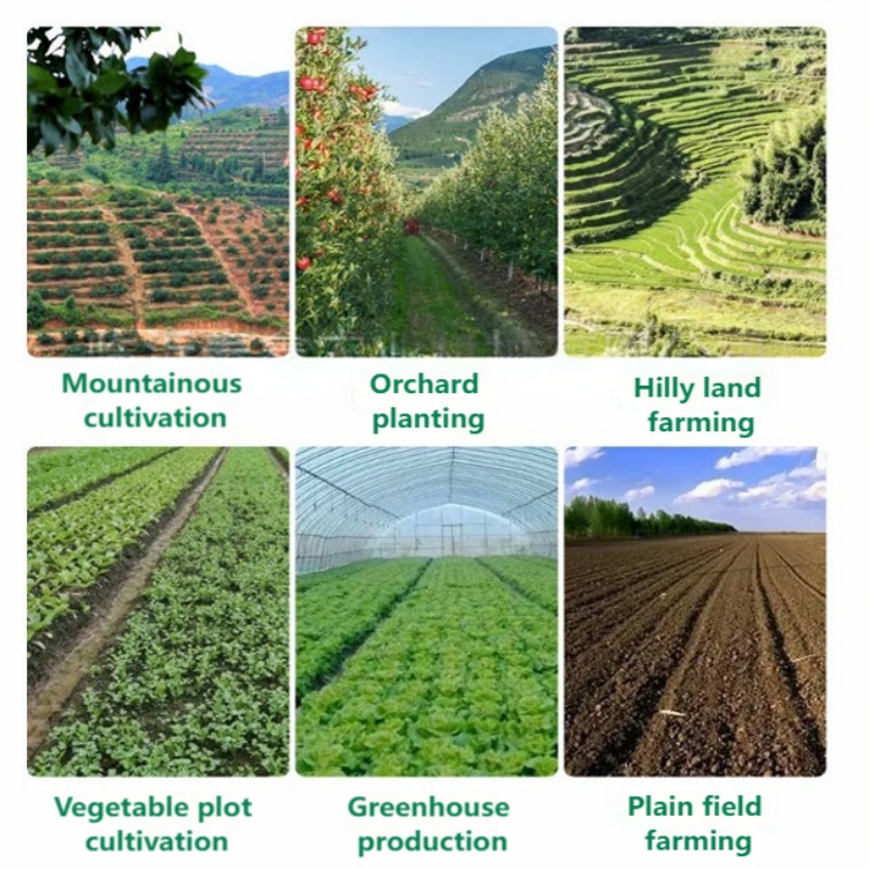 Ręczna siewarka do warzyw, pre – Farming Agriculture Tools recenzja i cena